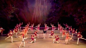 54K views · 1K reactions | www.facebook.com/operaplanet ======= Opera Planet ======== Tchaikovsky Swan Lake HD | Opera Planet | Facebook