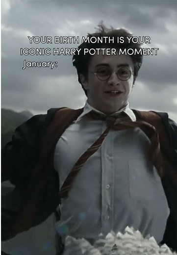 Collecting All Harry Potter Moments