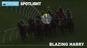 2.8K views | PUNTER'S INTELLIGENCE SPOTLIGHT Nick Berney highlights the depth of the impressive last start win by Price Kent Racing's promising four-year-old Blazing Harry as he looks to back it up at Kembla Grange Racecourse. TAB | Racing NSW | Facebook