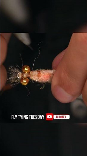 EP Spawning Shrimp | Fly Tying Shorts | #saltwaterflyfishing #FlyFishing #FlyTyingTutorial