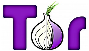 Tor Browser: Descargar última versión Windows 10, Android