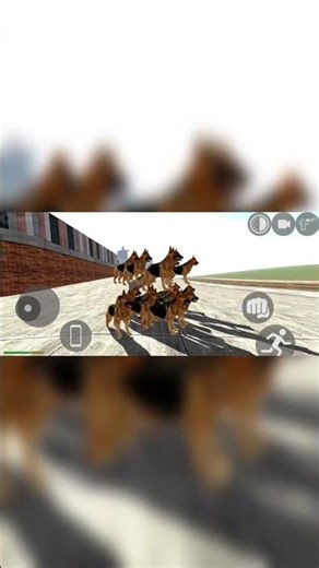 Doggo's Epic Bike Adventure (HOW IS THIS POSSIBLE?!)