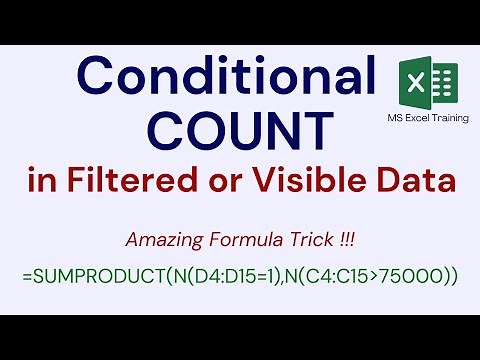 How to Use Conditional COUNT in Filtered Data in Excel