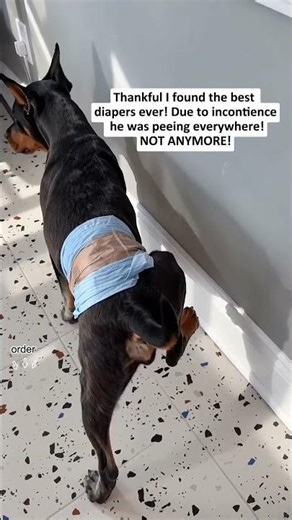 Guests are coming over in an hour.