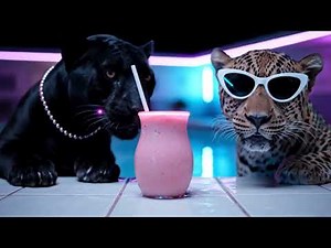 Antonia x Jenn Morel - Tiritera (Official Visualizer)