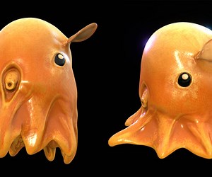 ArtStation - Grimpoteuthis - Dumbo Octopus - Ngchipv | Game Assets