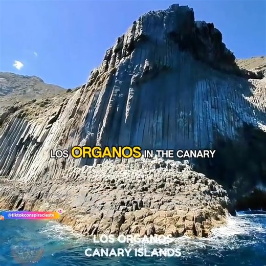 Were these trees or something far greater? 🤔 #nephilim #Ancienttreestumps | Amin