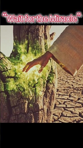 He Touched the Dead Tree and This Happened 😱 #shorts #viral #miracle