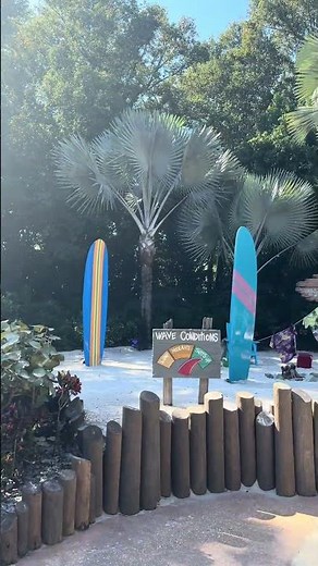 Typhoon Lagoon, Walt Disney World, Orlando Florida! #disney #disneyworld