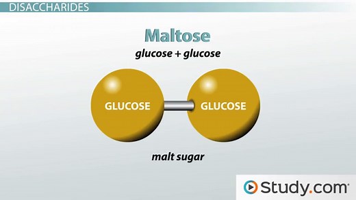Lactose | Structure, Intolerance & Molecule