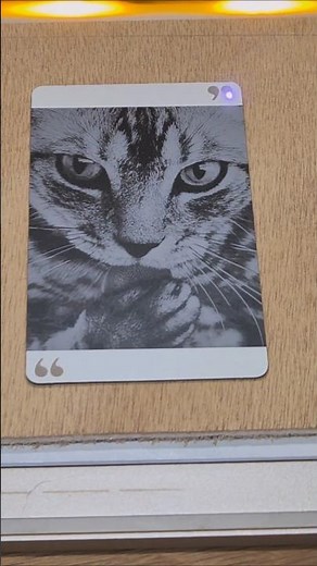 Gravure photo sur métal – Test laser xTool F2 diode 15W (portrait chat)