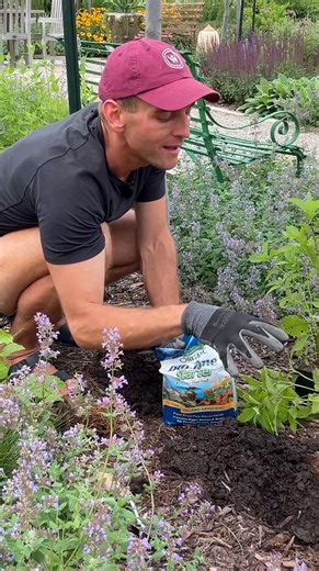 🌱 Wyse Guide and his nephew add perennials to the garden with Espoma Organic Bio-tone Starter Plus—helping new plants grow strong roots and beautiful blooms. Watch the full video: https://heyor.ca/ExhdE5 | Espoma Organic