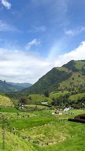 vertical video of beautiful landscapes of the Cocora Valley in Colombia. Trips and beautiful towns. Wax palm tree. Colombian national tree.