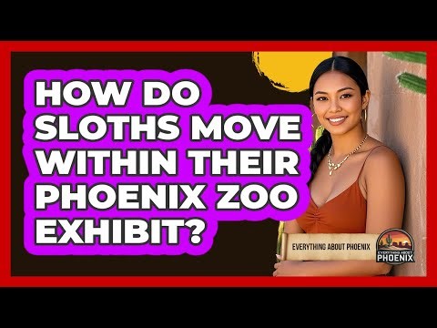How Do Sloths Move Within Their Phoenix Zoo Exhibit?