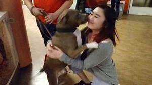 39K views · 2.9K reactions | After being missing for 1YEAR, impound number A3070 who's real name is Gibby was reunited with his mom!!!! He was not with us long but Mom saw the post on Facebook! We LOVE happy endings like this!!!! | WAGS ~ Westminster Adoption Group and Services | Facebook