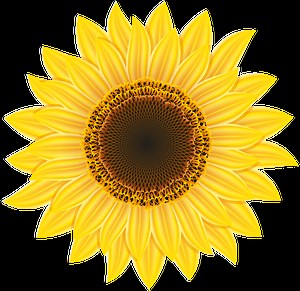 Martha's Community Farm — Martha's Choice Marketplace & Community Farm