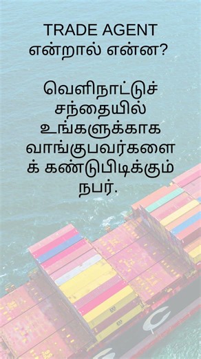 Export Import Consultant