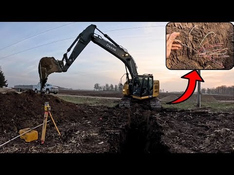 We Found Several Rainbow Roots On This Road Cut