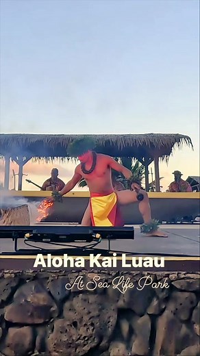 The best luau in Hawaii! • #alohakailuau #bestluau #hawaii #waikiki #honolulu #waimanalo #polynesiandance #dancers