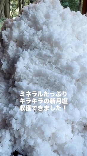 月のリズムに合わせて塩作り、ミネラルたっぷりの新月塩収穫出来ました！#自然と調和した暮らし #オーガニック #ナチュラル