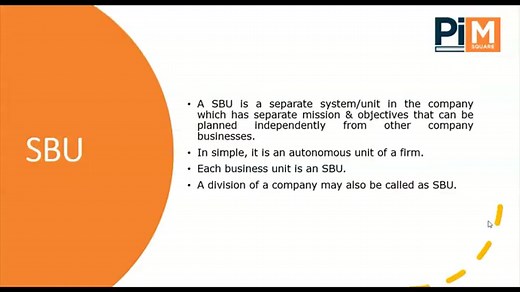 What Is An SBU In Marketing?