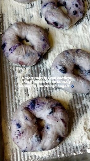 Sourdough Blueberry Bagels
