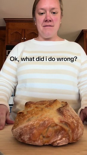 Troubleshooting Dense Sourdough Bread