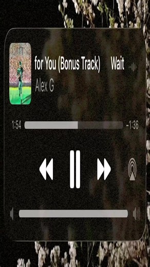 Waiting for You — Alex G (Bonus Track)