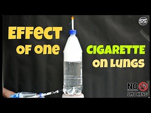 Effect of one CIGARETTE on human Lungs | Experiment