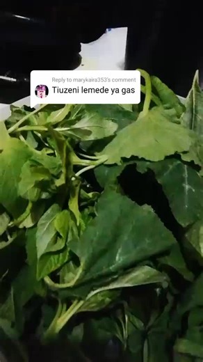 Muzingopita pa Search Bar ya Lolaiz Matecx Remedy