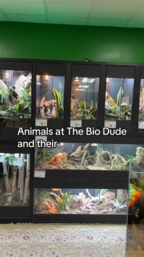The Bio Dude on Instagram: "Which resident animal is your fave? . -THE DUDE ABIDES Location: The Bio Dude Inc Houston 15116 Highway 3 Bldg 4 Webster, TX 77598 NEW HOURS: Mon-Sat: 10am-6pm Phone: (717) 305-0684 Email: customercare@thebiodude.com . . . #pets #exoticpets #reptile #petstore #thebiodude"