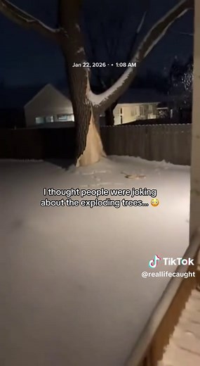 Exploding Trees in Minnesota's Winter Weather