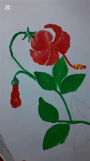 #shorts #acrylicpainting #artandcraft #howtodraw flowers java #art#drawing #জবাফুল