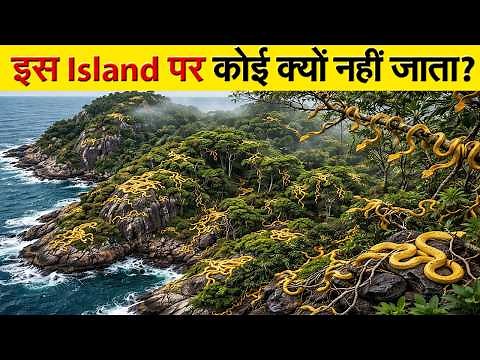 इस Island पर कदम रखा तो बचना नामुमकिन! | Snake Island Brazil