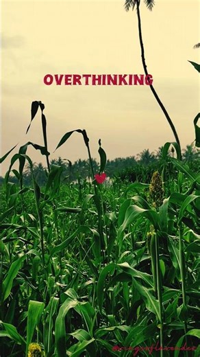 start finding solutions through your overthinking 🪄