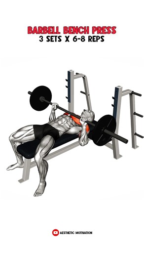 Complete Chest and Tricep workout for maximum pump and growth! #chestworkout #tricepsworkout