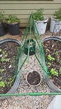 Inexpensive things I'm using to make my gardening experience easier.