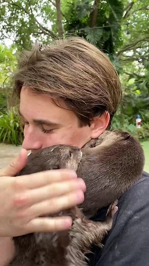 Giant otter babies🦦 #zwfmiami #ItStartsOnTikTok #WhatsYourPower #otters #animals #cute #fyp