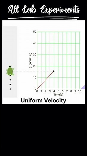 Uniform Velocity | Explanation with animation #physics #shorts #class11physics #class9science