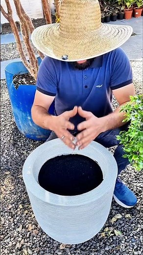 Como plantar jabuticabeira no vaso do jeito certo 🌱