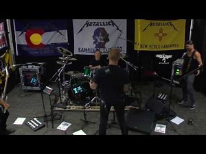 Metallica - The Dick Song