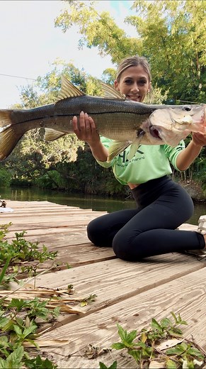 445 reactions · 12 comments | Fish n flip saltwater edition ⚓️✨ | Abbie Edwards | Facebook