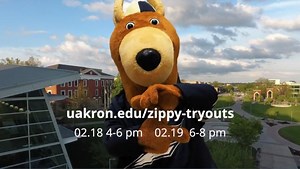 1.3K views · 28 reactions | Do YOU have what it takes to join Zippy's team? Zippy tryouts will be taking place on Feb. 18 from 4-6pm and Feb. 19 from 6-8pm. Sign up to try out here: uakron.edu/zippy-tryouts | The University of Akron | Facebook