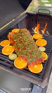 48K views · 768 reactions | Chili Salmon | Over The Fire Cooking by Derek Wolf | Facebook