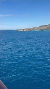 Discovering, Galapagos Islands, Responsible Travel SA from María P. 🐢