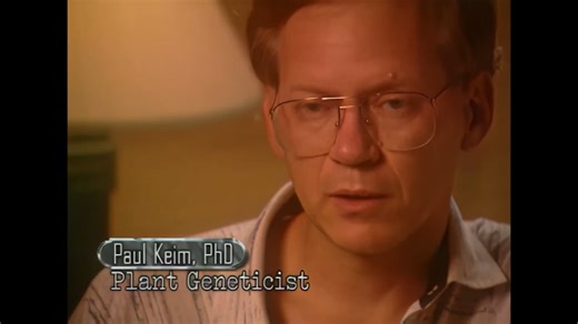 真实案件之法医档案S1E5：植物的呈堂证供，凤凰城迪尼斯·约翰逊Denise Johnson案