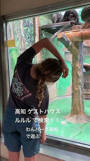 高知 ゲストハウス わんパーク高知 お散歩 ルルルから車で15分 ファミリー 高知観光 四国一周 大学生 一人旅歓迎 生演奏17:30- 無料朝食 スパイスカレー #shorts