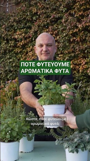 Πότε φυτεύουμε αρωματικά φυτά - Τα Μυστικά του Κήπου