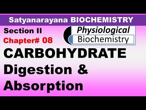 Chp#8 Satyanarayana Biochemistry | Carbohydrate Digestion and Absorption | Biochemistry Lectures