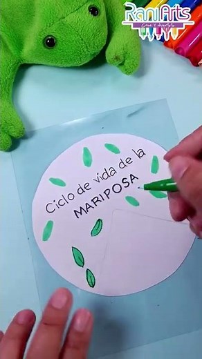 Ciclo de vida de una Mariposa 🦋 - DIY- fácil 🦋